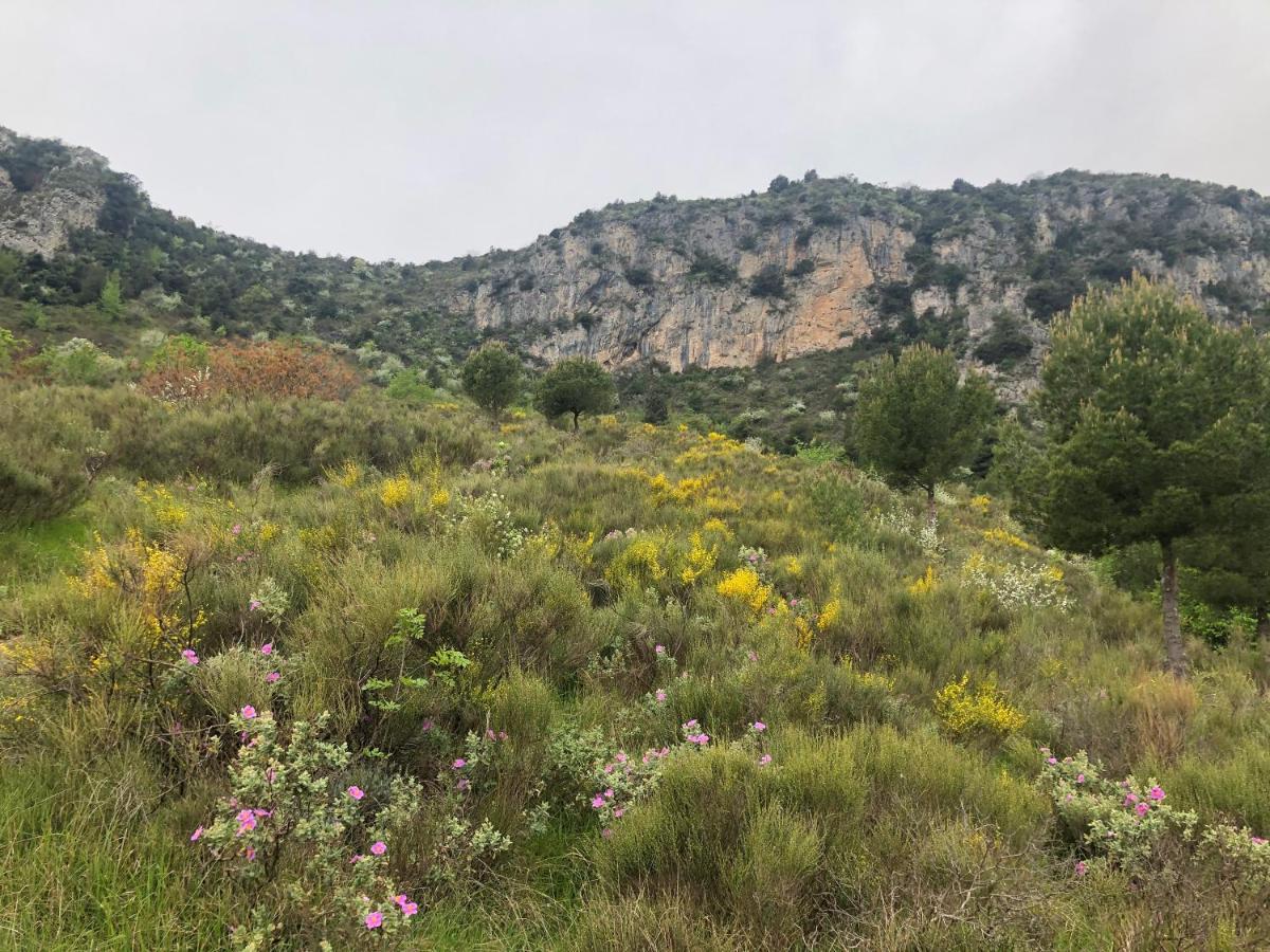 "Aux Balcons Du Riou" Avec Vue Mer 180 Degres Vence Eksteriør bilde