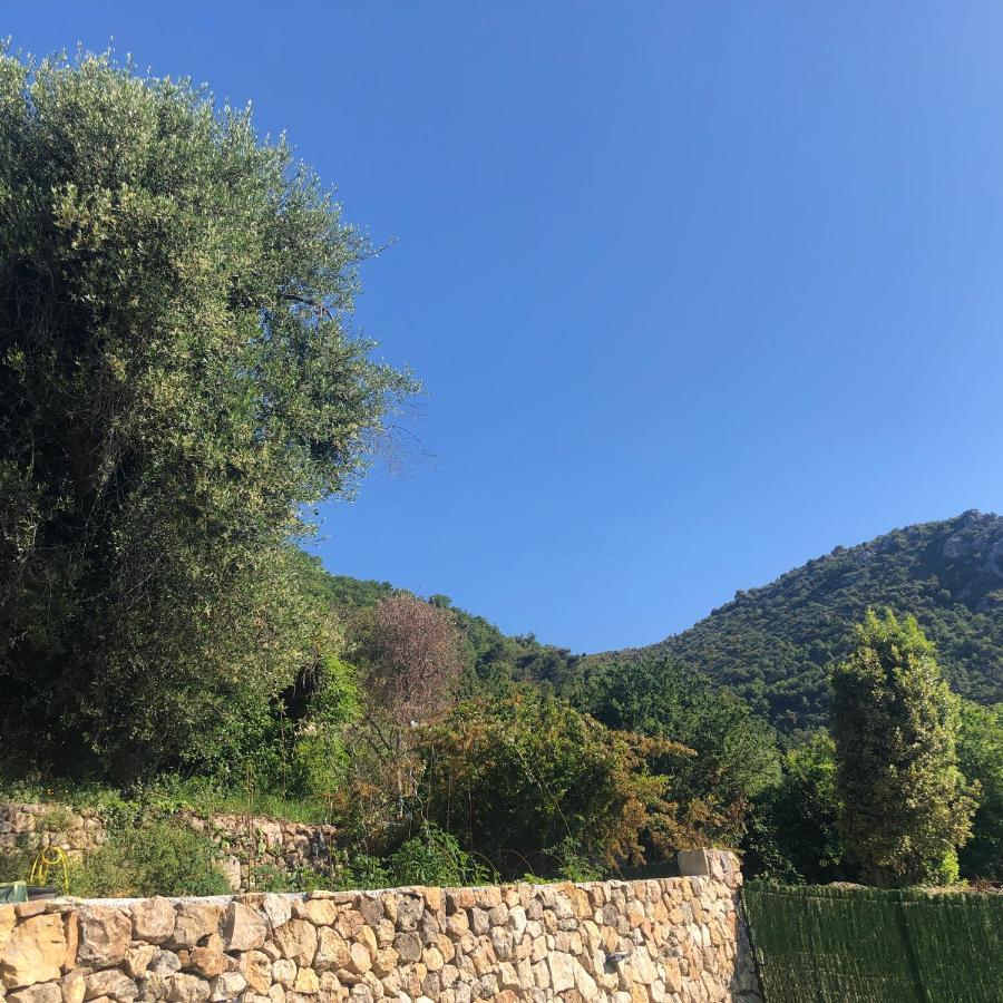 "Aux Balcons Du Riou" Avec Vue Mer 180 Degres Vence Eksteriør bilde