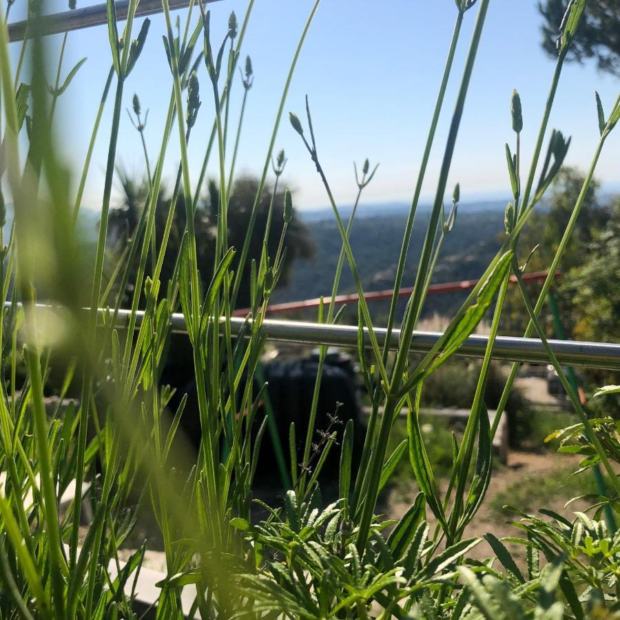 "Aux Balcons Du Riou" Avec Vue Mer 180 Degres Vence Eksteriør bilde